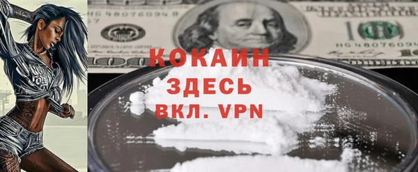 стафф Дмитровск