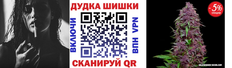 Бошки Шишки MAZAR  Купить  Сунжа 